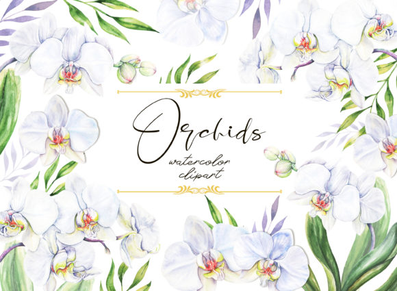 Orchids Watercolor Clipart for Creative Projects