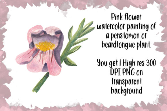 The Art of Pink Flower Watercolor Painting