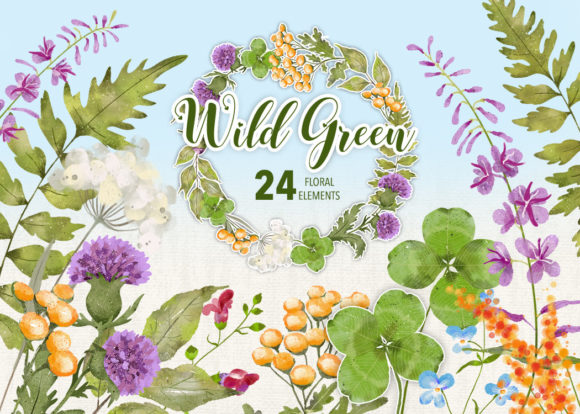 Unlocking Creativity with the Wild Green Collection: Your Digital Garden of Design Elements