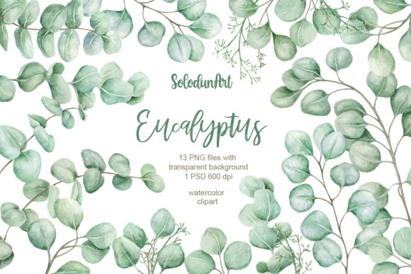 Watercolor Eucalyptus Clipart: A Versatile Design Asset
