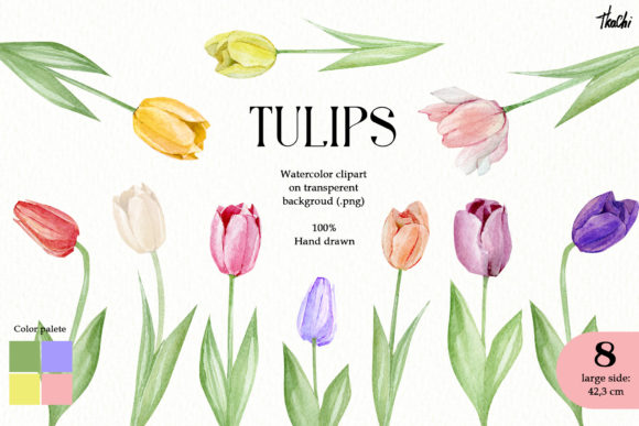 Watercolor Tulips Clipart: A Creative Resource for Spring Designs